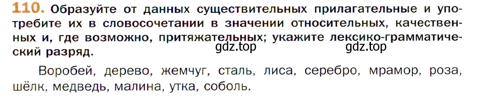 Условие номер 110 (страница 191) гдз по русскому языку 11 класс Гусарова, учебник