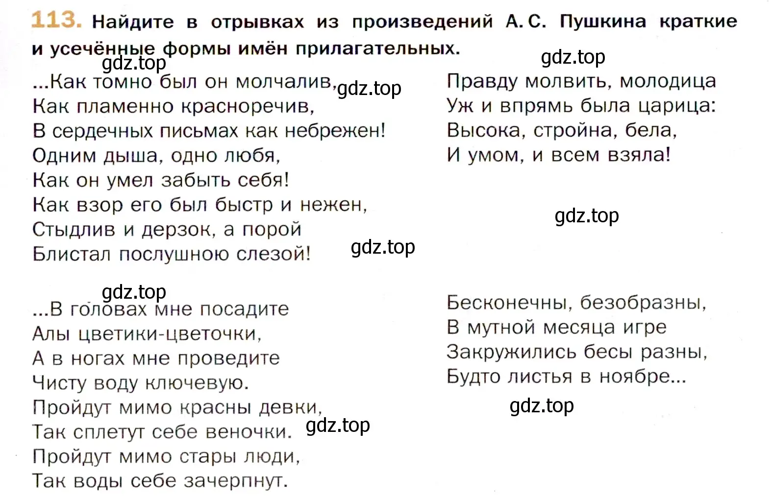 Условие номер 113 (страница 193) гдз по русскому языку 11 класс Гусарова, учебник