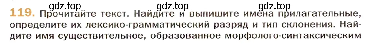 Условие номер 119 (страница 202) гдз по русскому языку 11 класс Гусарова, учебник