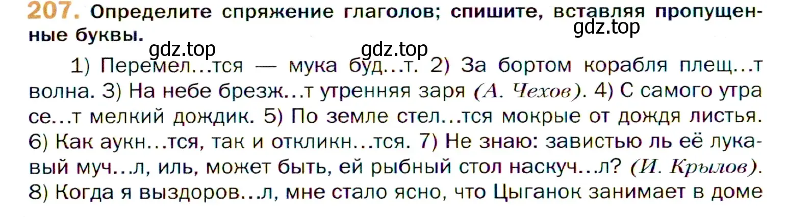 Условие номер 207 (страница 314) гдз по русскому языку 11 класс Гусарова, учебник