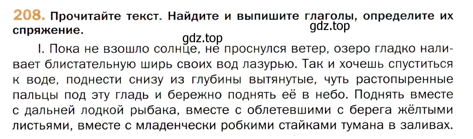 Условие номер 208 (страница 315) гдз по русскому языку 11 класс Гусарова, учебник