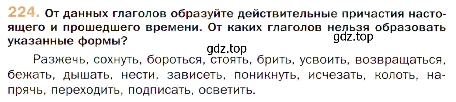 Условие номер 224 (страница 339) гдз по русскому языку 11 класс Гусарова, учебник