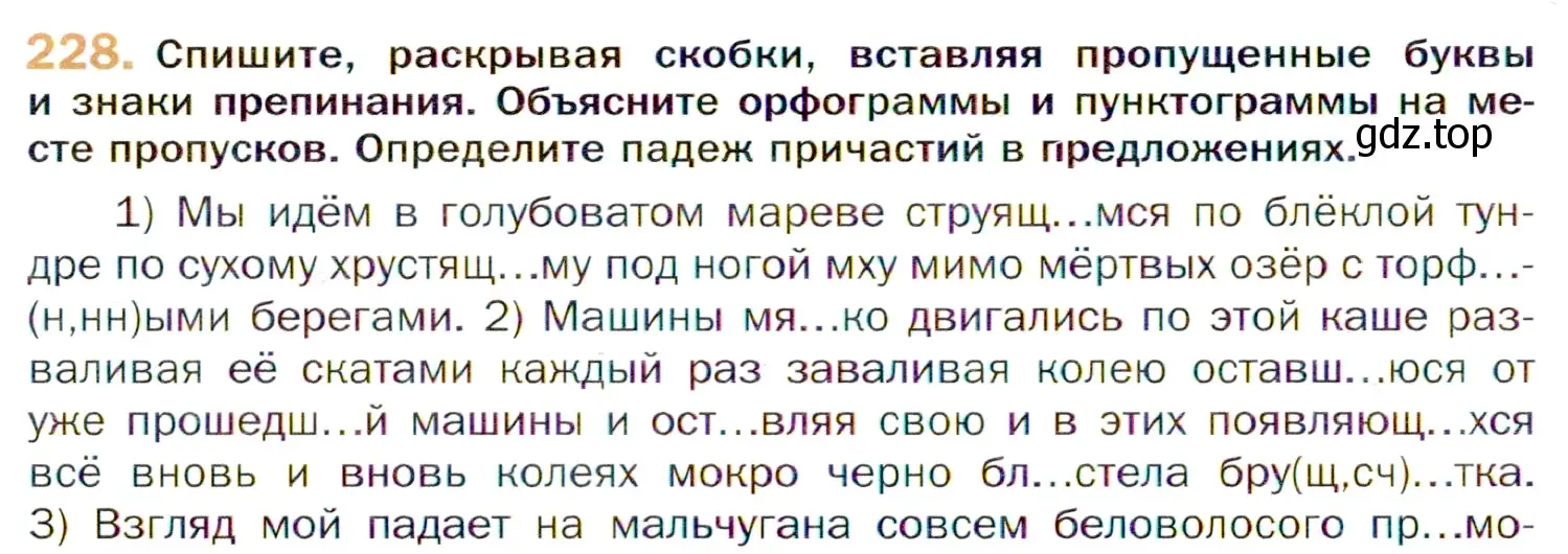 Условие номер 228 (страница 344) гдз по русскому языку 11 класс Гусарова, учебник