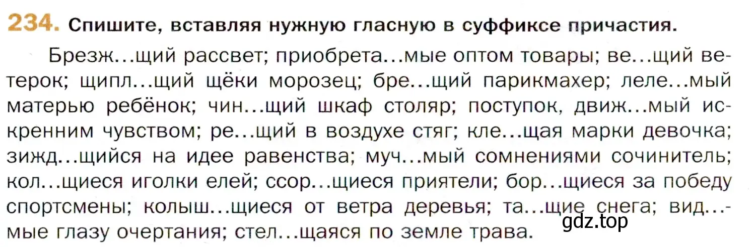 Условие номер 234 (страница 352) гдз по русскому языку 11 класс Гусарова, учебник