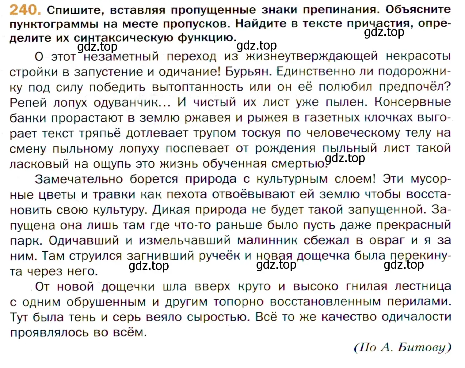 Условие номер 240 (страница 360) гдз по русскому языку 11 класс Гусарова, учебник