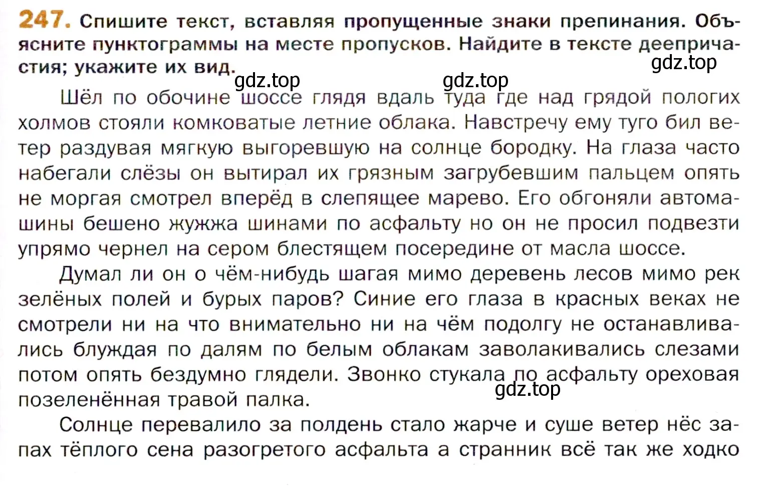 Условие номер 247 (страница 371) гдз по русскому языку 11 класс Гусарова, учебник