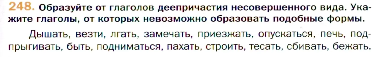 Условие номер 248 (страница 373) гдз по русскому языку 11 класс Гусарова, учебник