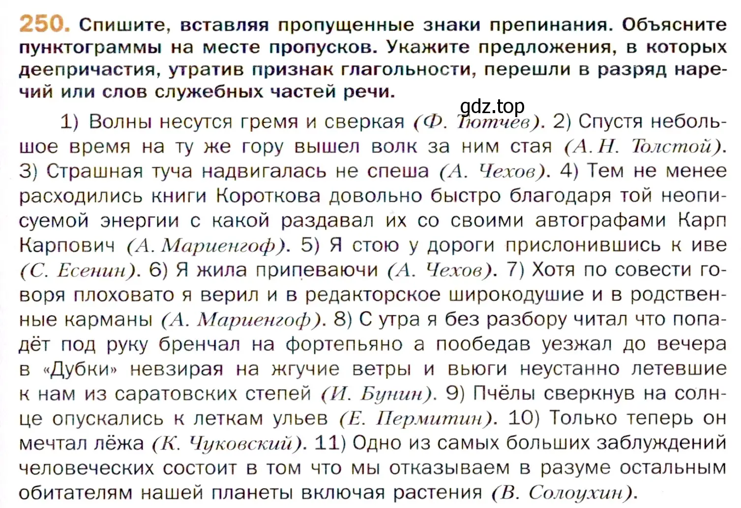 Условие номер 250 (страница 375) гдз по русскому языку 11 класс Гусарова, учебник