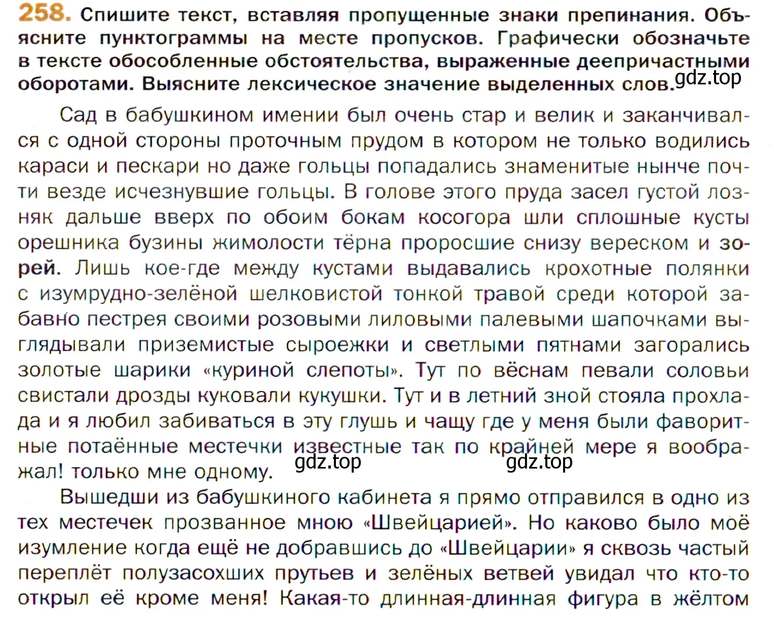 Условие номер 258 (страница 382) гдз по русскому языку 11 класс Гусарова, учебник