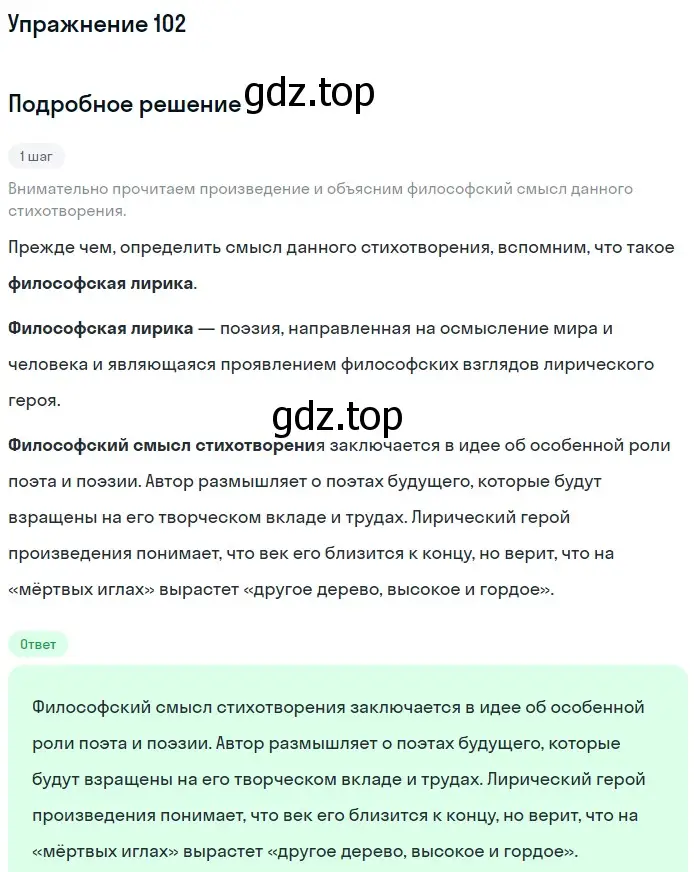 Решение номер 102 (страница 173) гдз по русскому языку 11 класс Гусарова, учебник