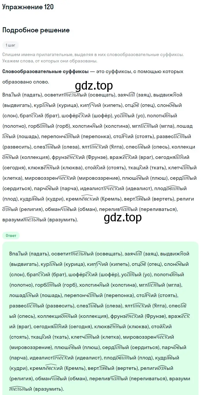 Решение номер 120 (страница 203) гдз по русскому языку 11 класс Гусарова, учебник