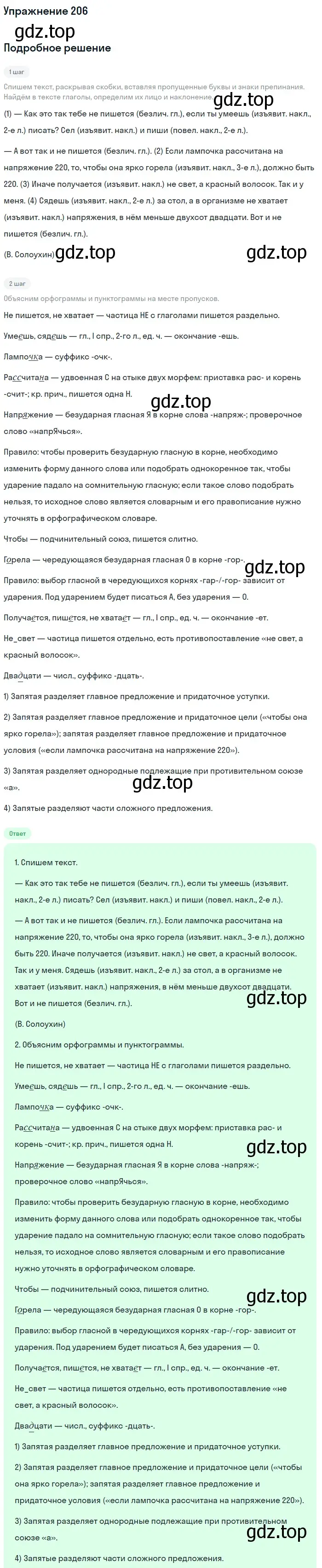 Решение номер 206 (страница 313) гдз по русскому языку 11 класс Гусарова, учебник