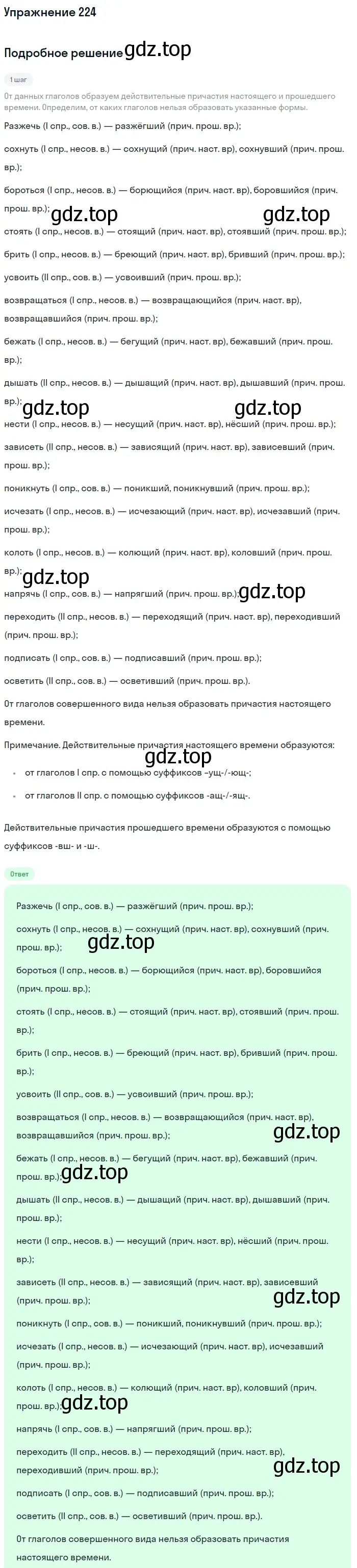 Решение номер 224 (страница 339) гдз по русскому языку 11 класс Гусарова, учебник