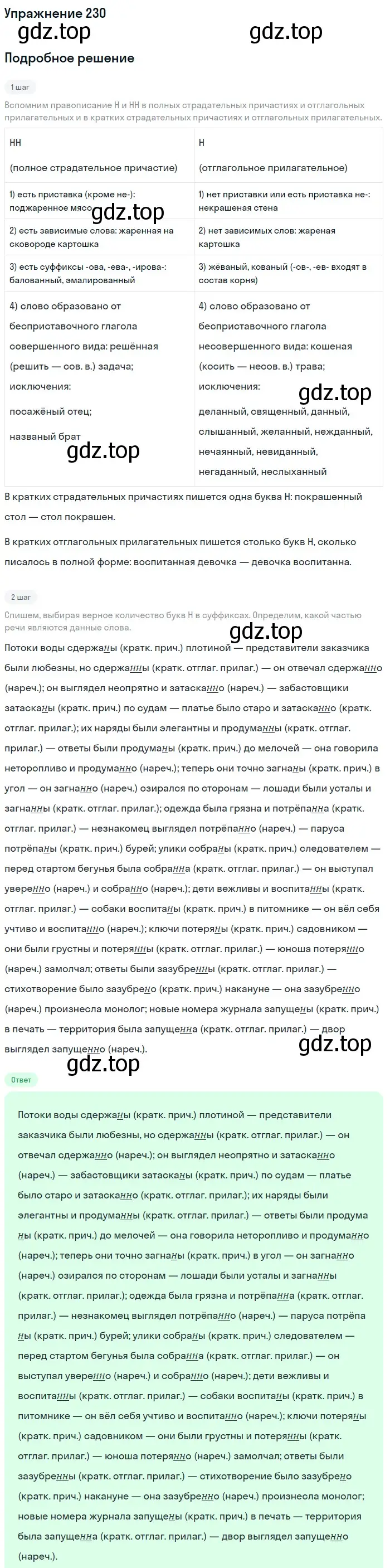 Решение номер 230 (страница 348) гдз по русскому языку 11 класс Гусарова, учебник