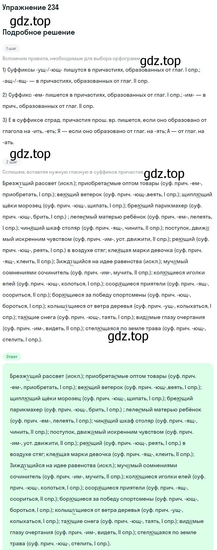 Решение номер 234 (страница 352) гдз по русскому языку 11 класс Гусарова, учебник