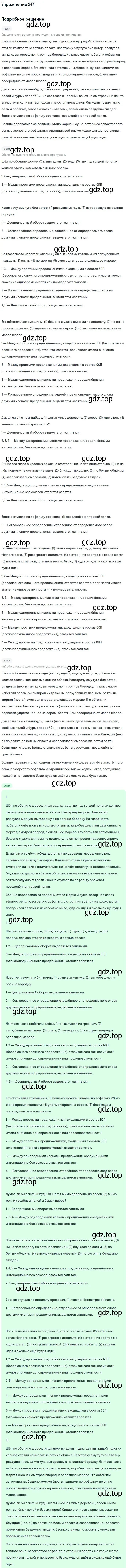 Решение номер 247 (страница 371) гдз по русскому языку 11 класс Гусарова, учебник