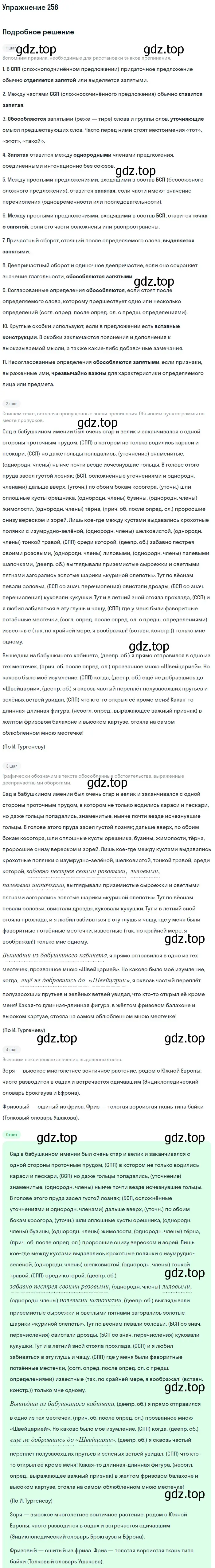 Решение номер 258 (страница 382) гдз по русскому языку 11 класс Гусарова, учебник