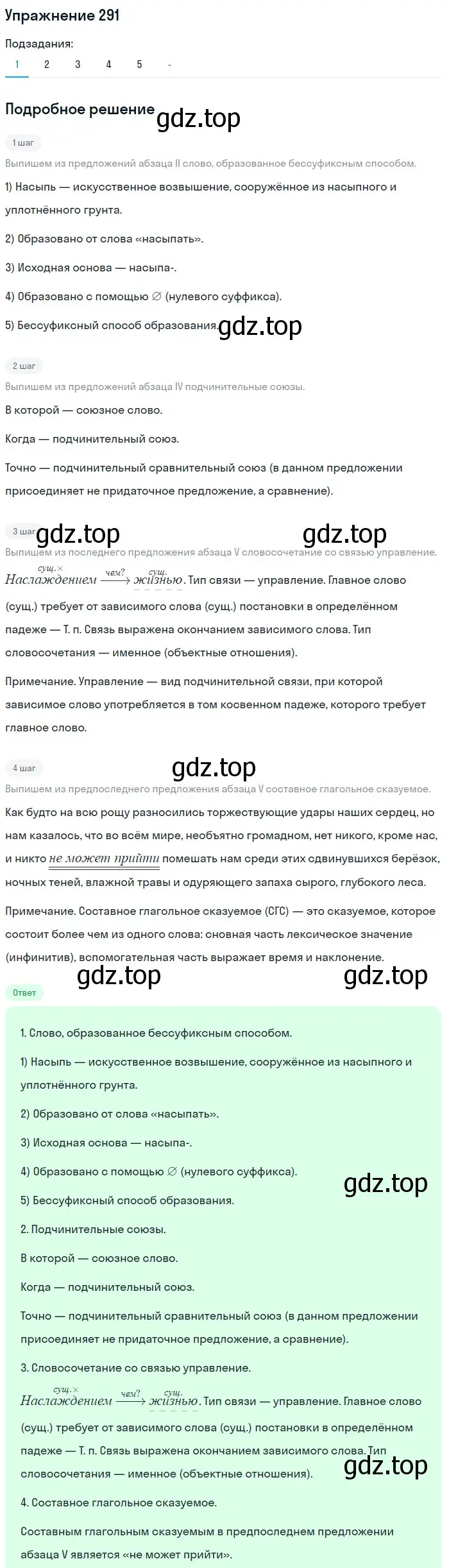 Решение номер 291 (страница 425) гдз по русскому языку 11 класс Гусарова, учебник