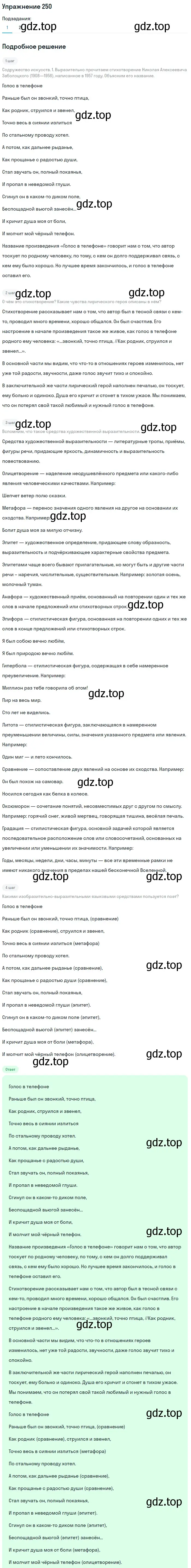 Решение номер 250 (страница 290) гдз по русскому языку 11 класс Львова, Львов, учебник