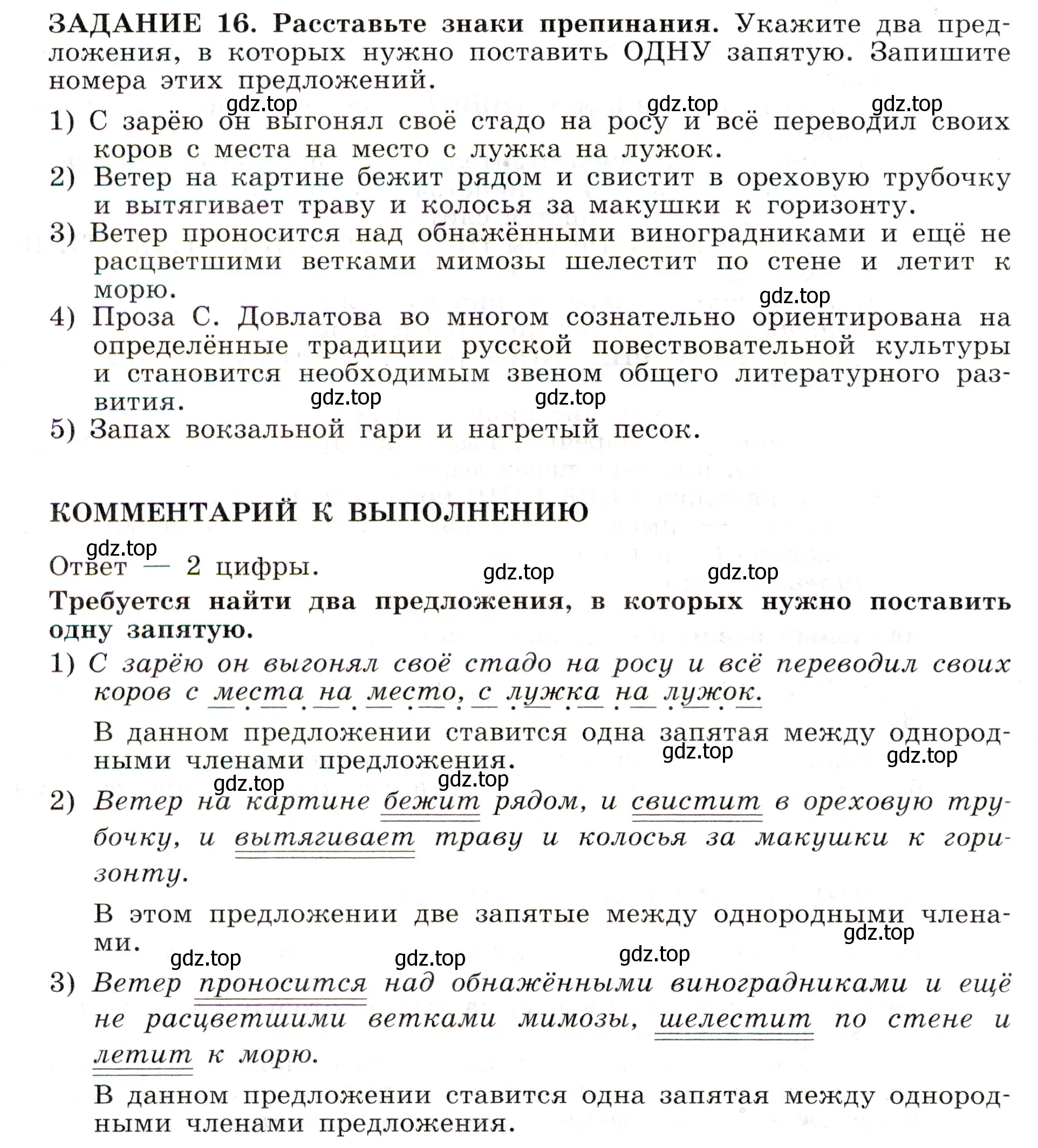 Условие номер 16 (страница 24) гдз по русскому языку 11 класс Маслов, Бондарцова, тетрадь-тренажёр