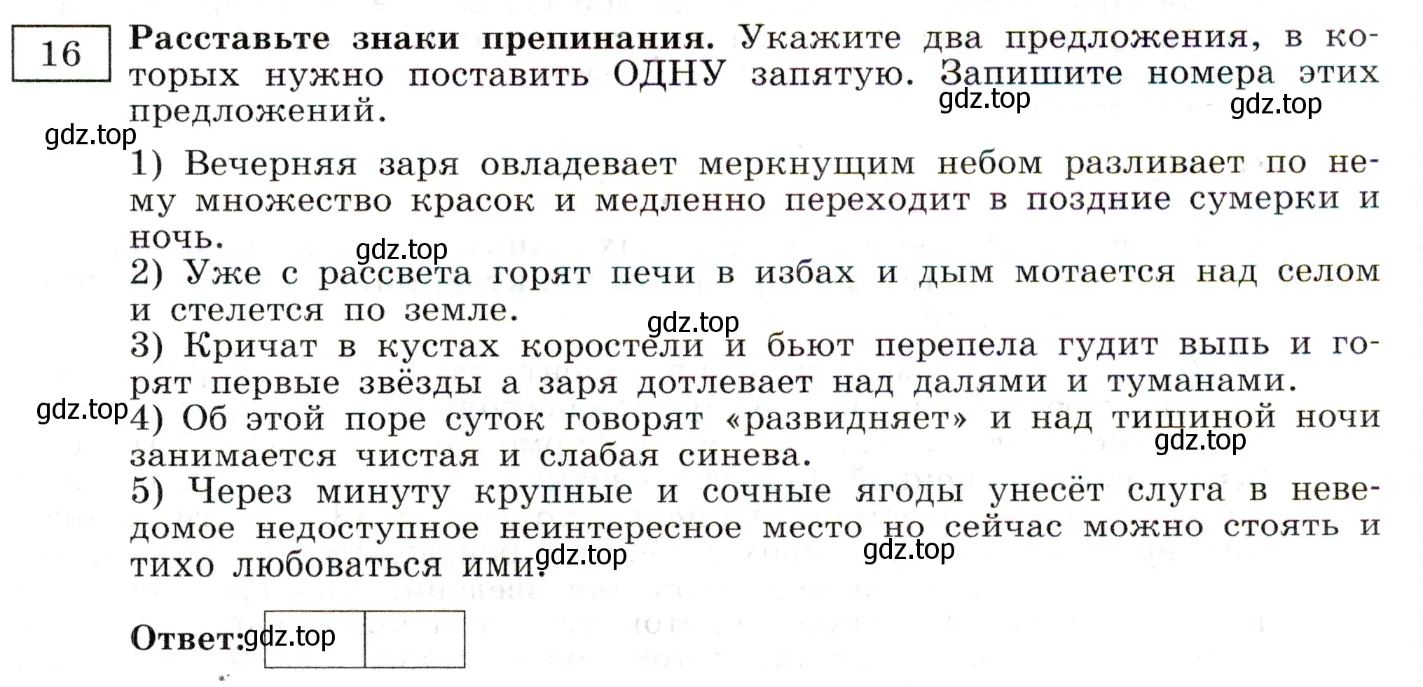 Условие номер 16 (страница 13) гдз по русскому языку 11 класс Маслов, Бондарцова, тетрадь-тренажёр