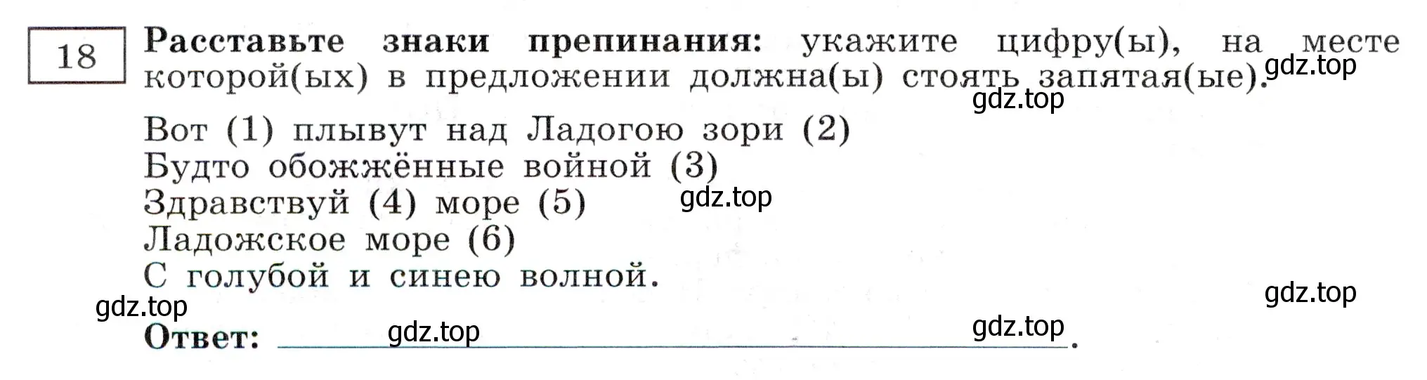 Условие номер 18 (страница 14) гдз по русскому языку 11 класс Маслов, Бондарцова, тетрадь-тренажёр