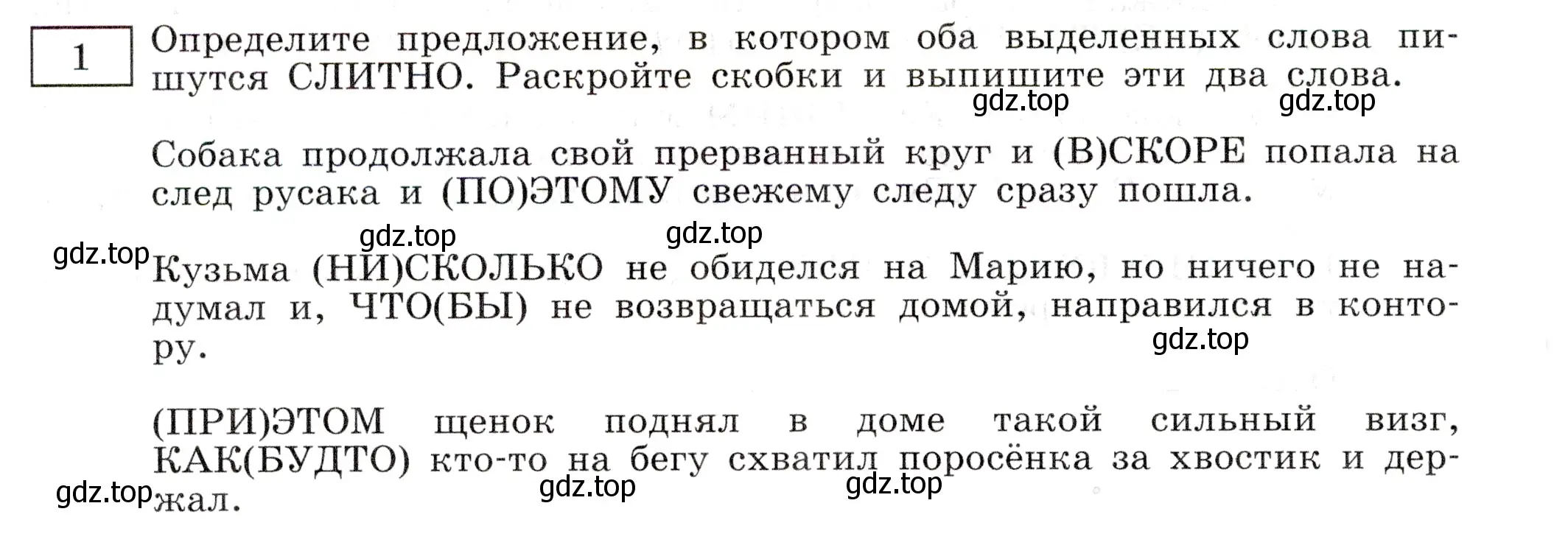 Условие номер 1 (страница 52) гдз по русскому языку 11 класс Маслов, Бондарцова, тетрадь-тренажёр