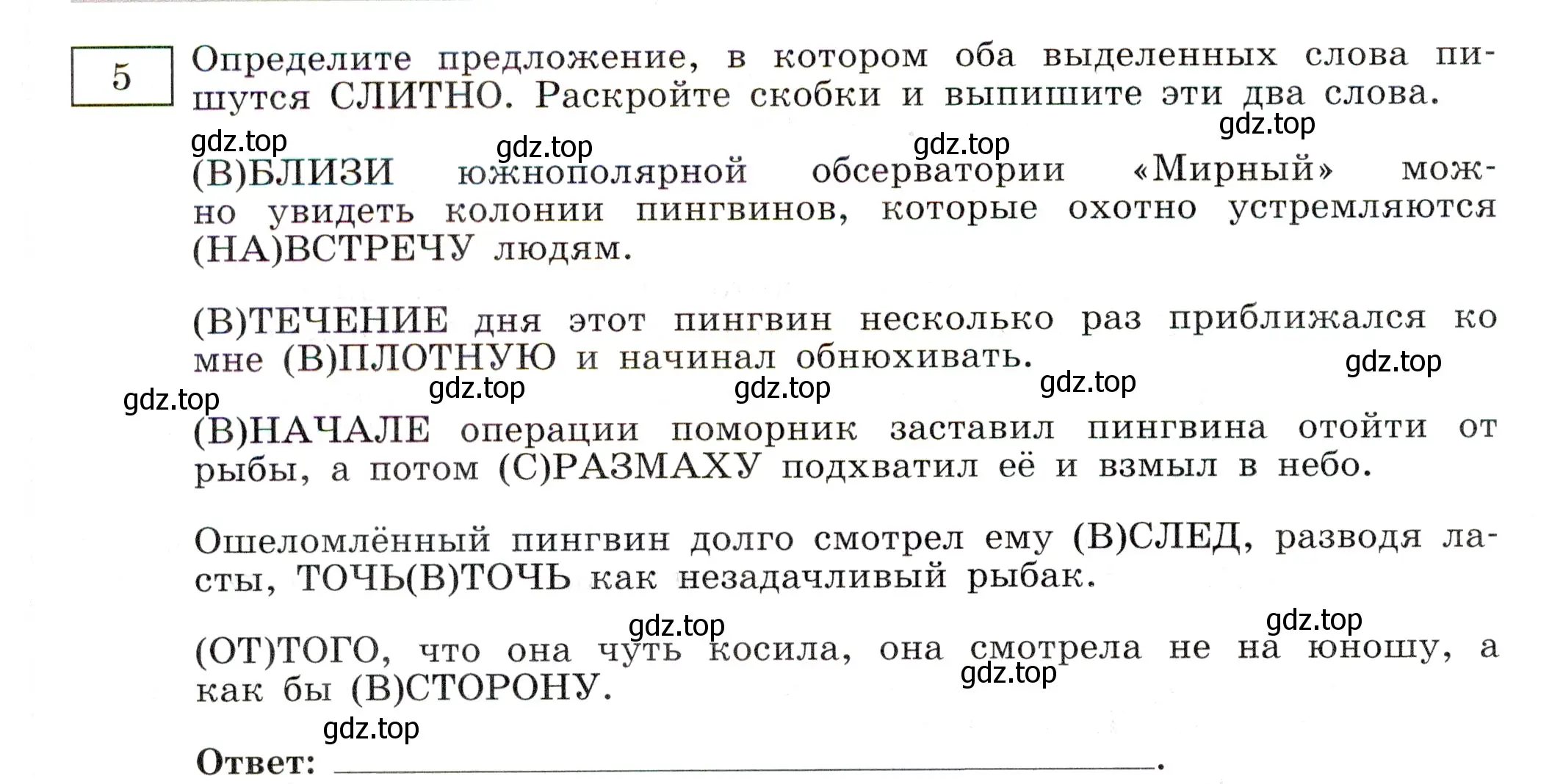 Условие номер 5 (страница 54) гдз по русскому языку 11 класс Маслов, Бондарцова, тетрадь-тренажёр