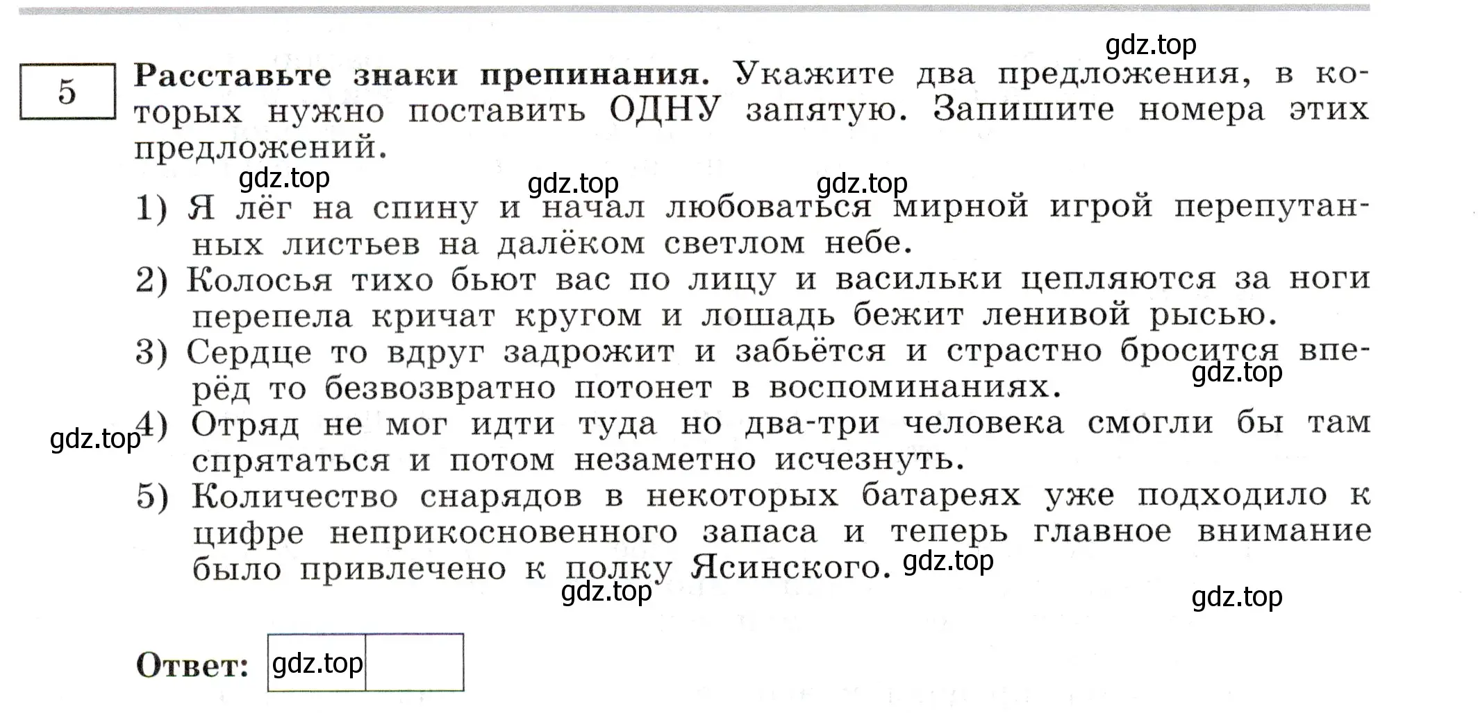 Условие номер 5 (страница 62) гдз по русскому языку 11 класс Маслов, Бондарцова, тетрадь-тренажёр