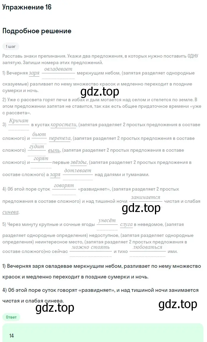 Решение номер 16 (страница 13) гдз по русскому языку 11 класс Маслов, Бондарцова, тетрадь-тренажёр